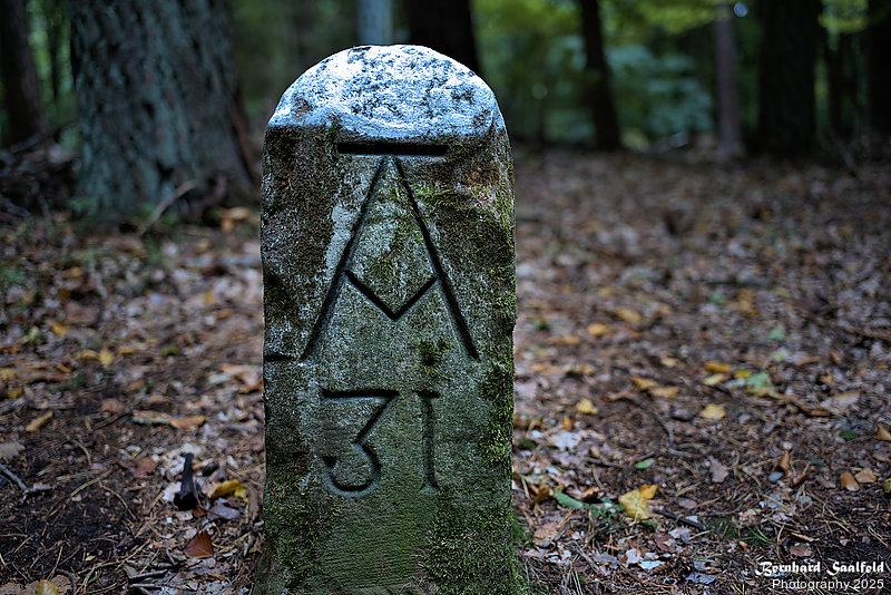 Bernhard Saalfeld - Spessart (4v9)